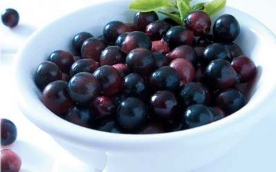 Superfoods Decoded – Acai Berries… berry, berry good!