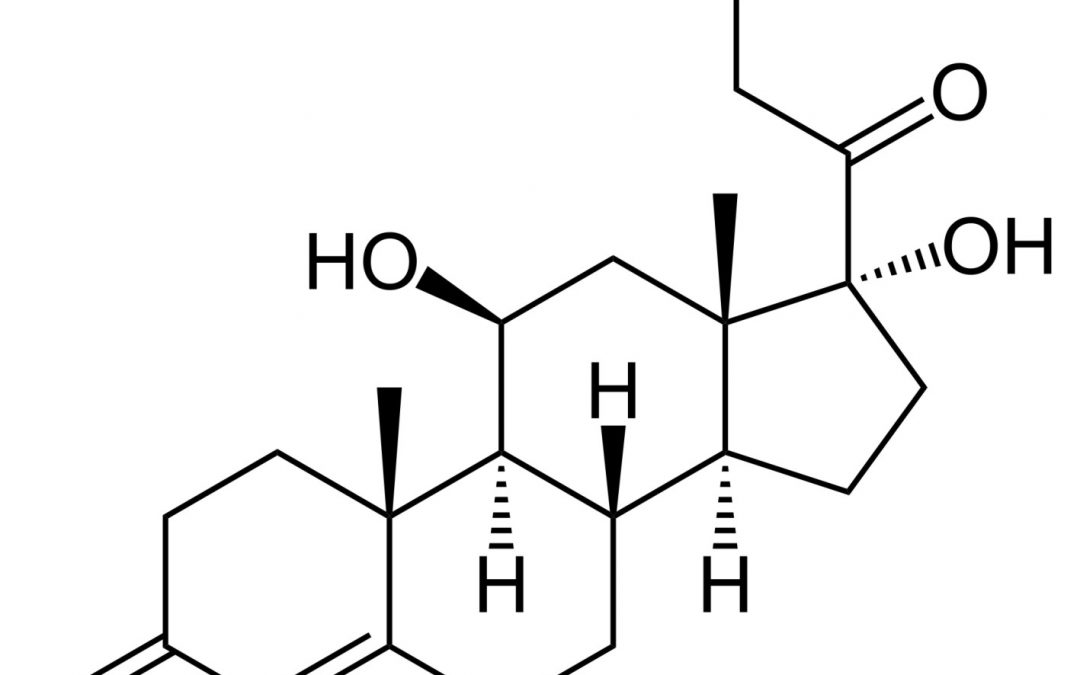 How to reduce CORTISOL? The answer is right under your nose!