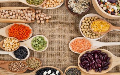 Protein Healthy Food – How to Get the Most Out of Your Meat Free Meals