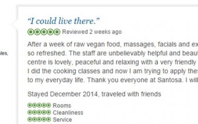 Thanks for all the GREAT feedback!