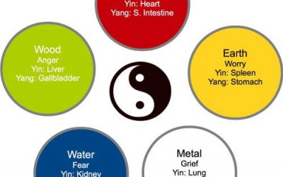 FIVE ELEMENT EMOTIONAL DETOX MEDITATION