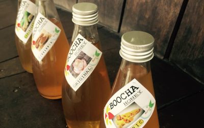 Kombucha Class on Phuket: Reasons to Sip on Kombucha