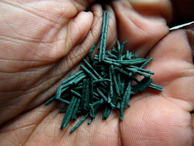 Spirulina2
