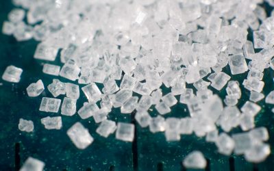 Curbing Sugar Cravings