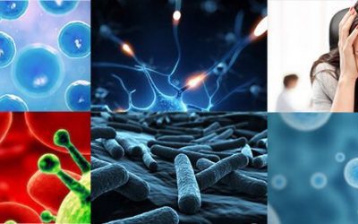 What are toxins?