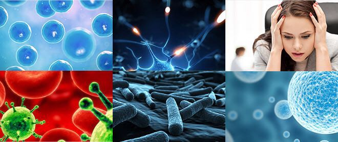 What are toxins?