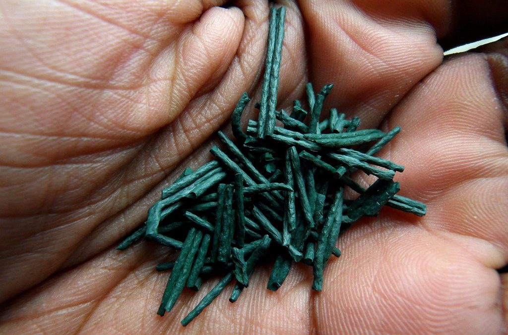 Spectacular Superfood Spirulina