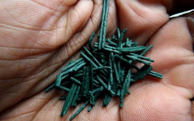 Spectacular Superfood Spirulina