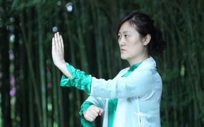 Tai Chi Master Workshop in Phuket
