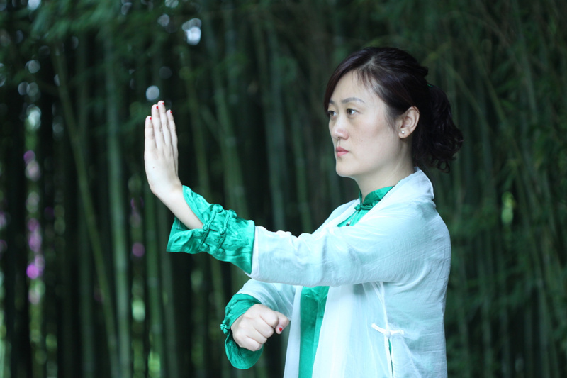 Tai Chi Master Workshop in Phuket