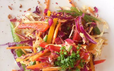 The Benefits of a Plant-Based Diet