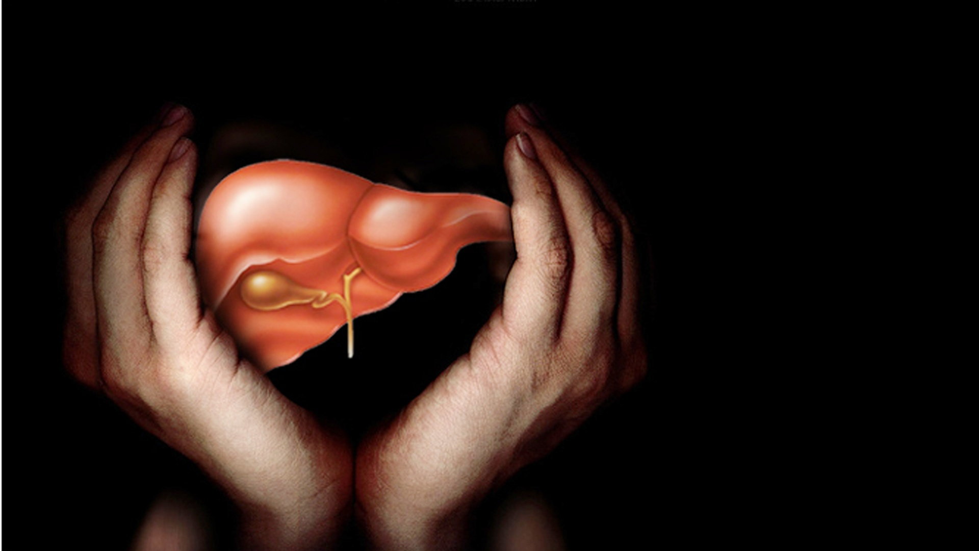 Liver detoxification and how the liver processes toxins
