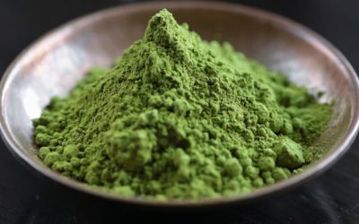 The Amazing Benefits of Chlorophyll