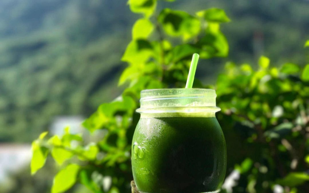 Why You Should Consider a Juice Fast at Santosa