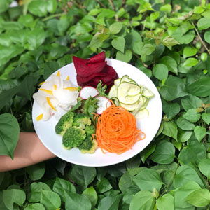 Santosa Resort Detox Wellness Spa Yoga Retreat Kata Beach Phuket Thailand HEALTHY VEGAN Raw Healing Retreat Clean Food 300x300