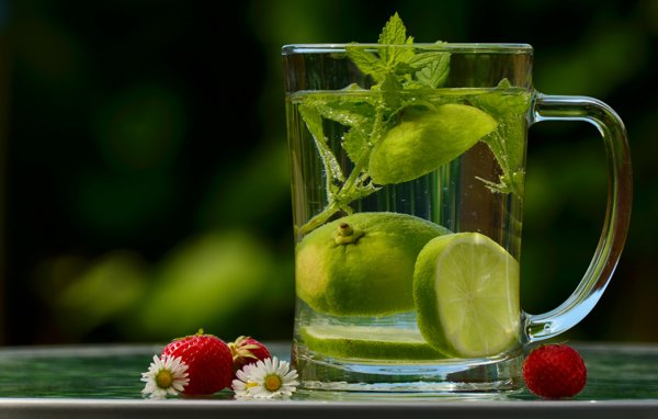 Water Infusion Detox Santosa