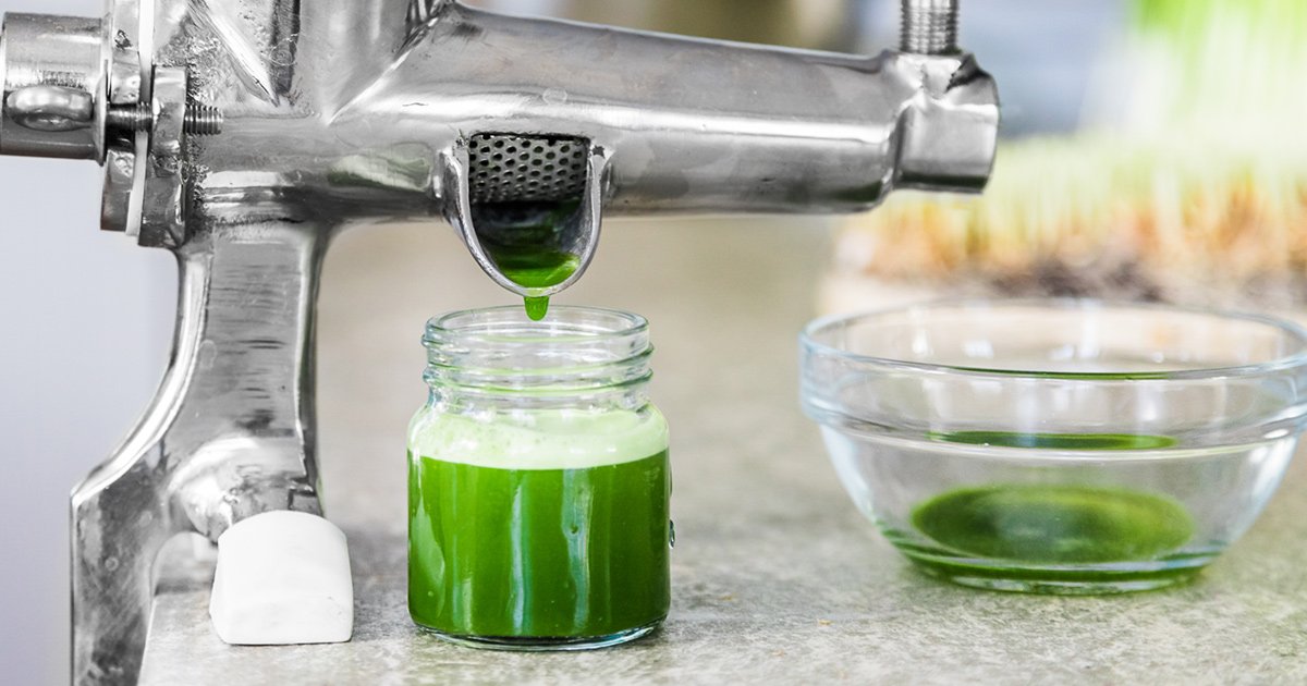 Extraction Of Wheatgrass Juice Kitchen