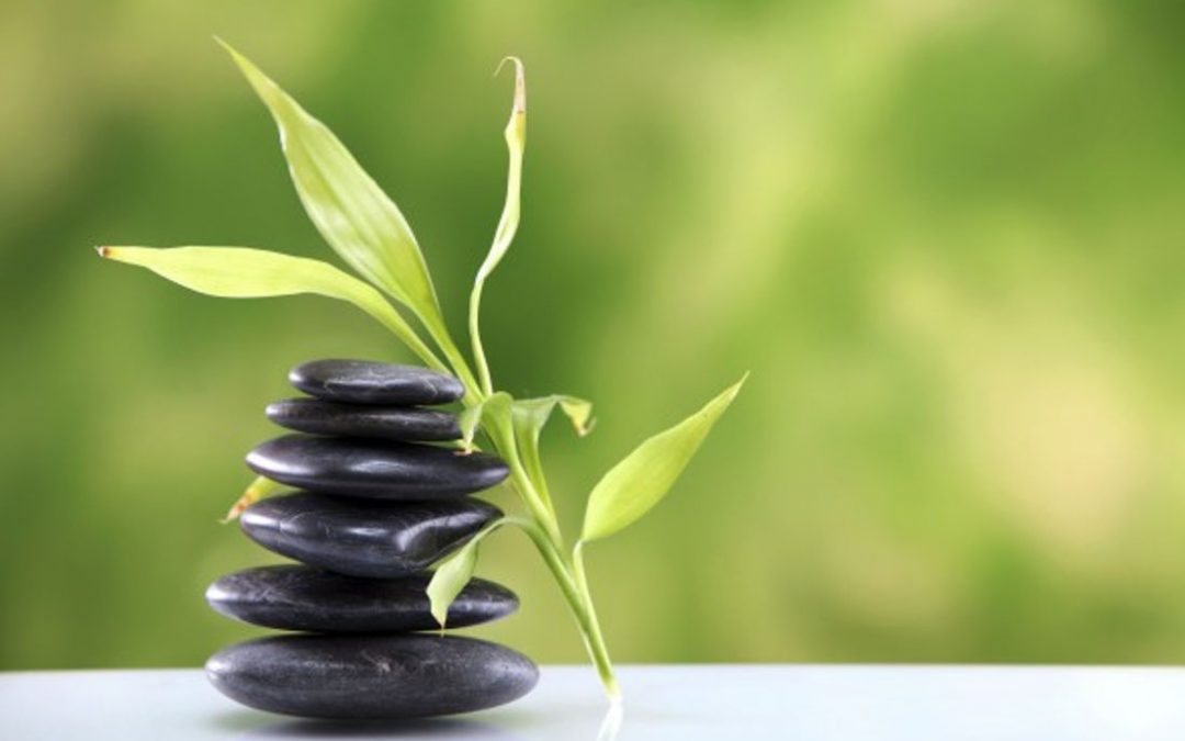 Cleanse Your Mind, Body and Soul at Santosa