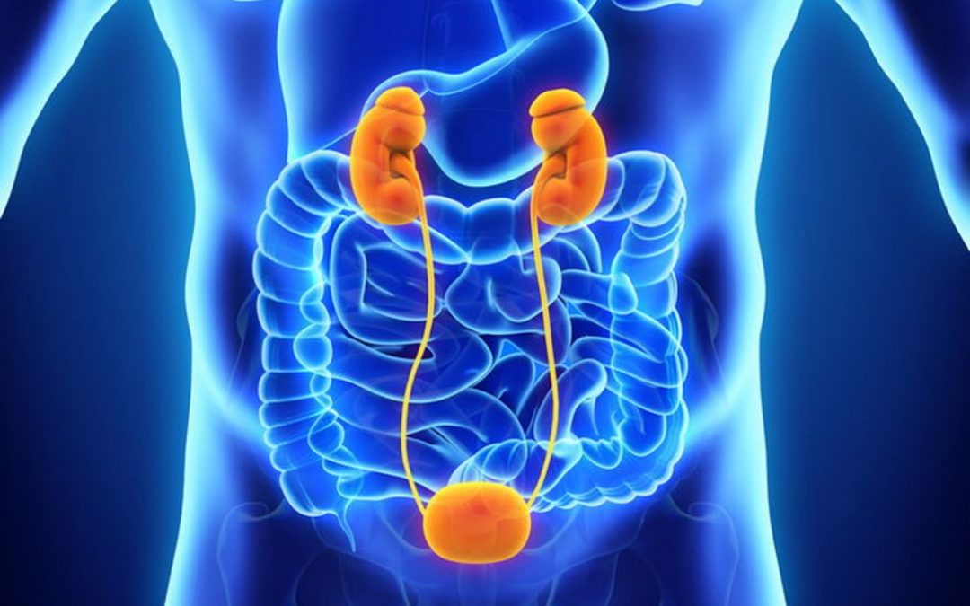 Why Detox Helps to Prevent Potential Diseases