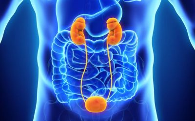 Why Detox Helps to Prevent Potential Diseases
