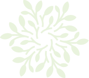 Asset Icon Asset Icon