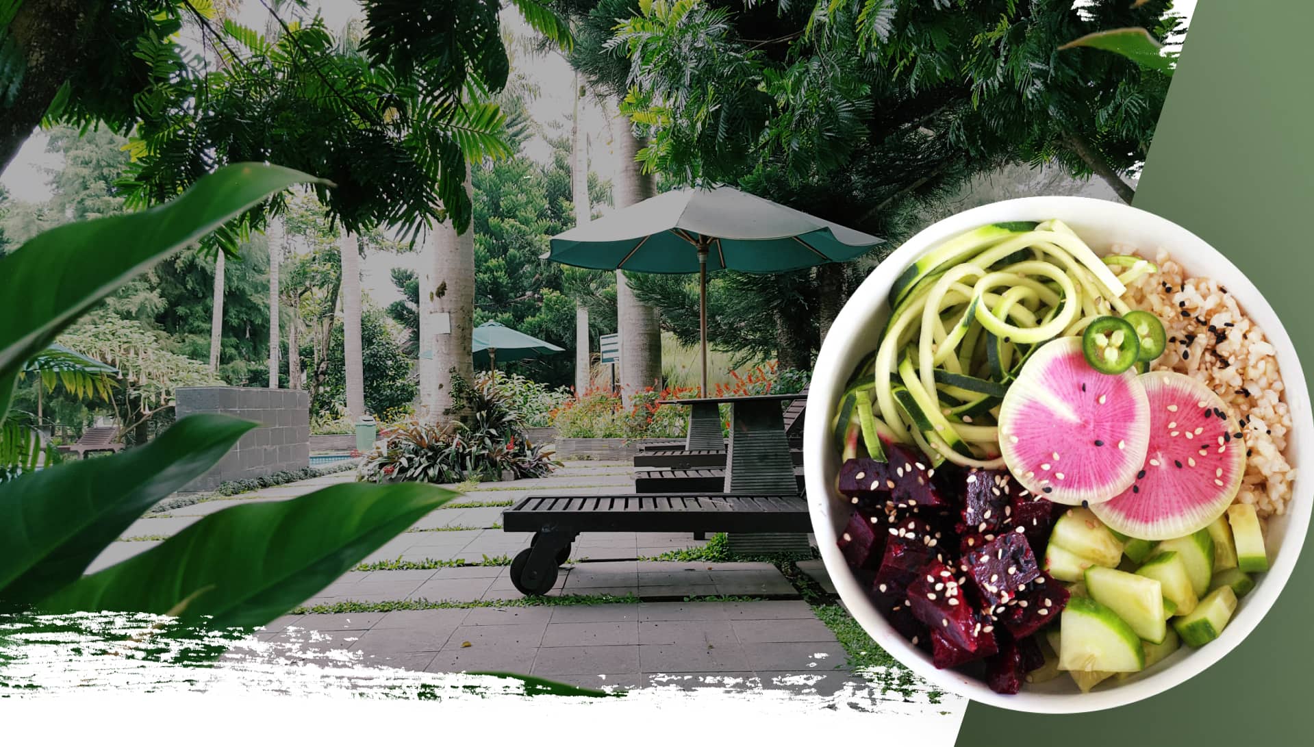 Colourful healthy vegan food dishes served at Santosa wellness retreat in Phuket